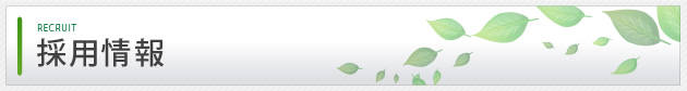 採用情報
